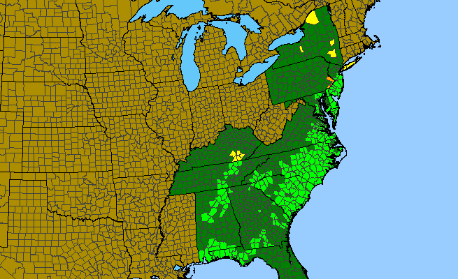 The range of Lobelia nuttallii